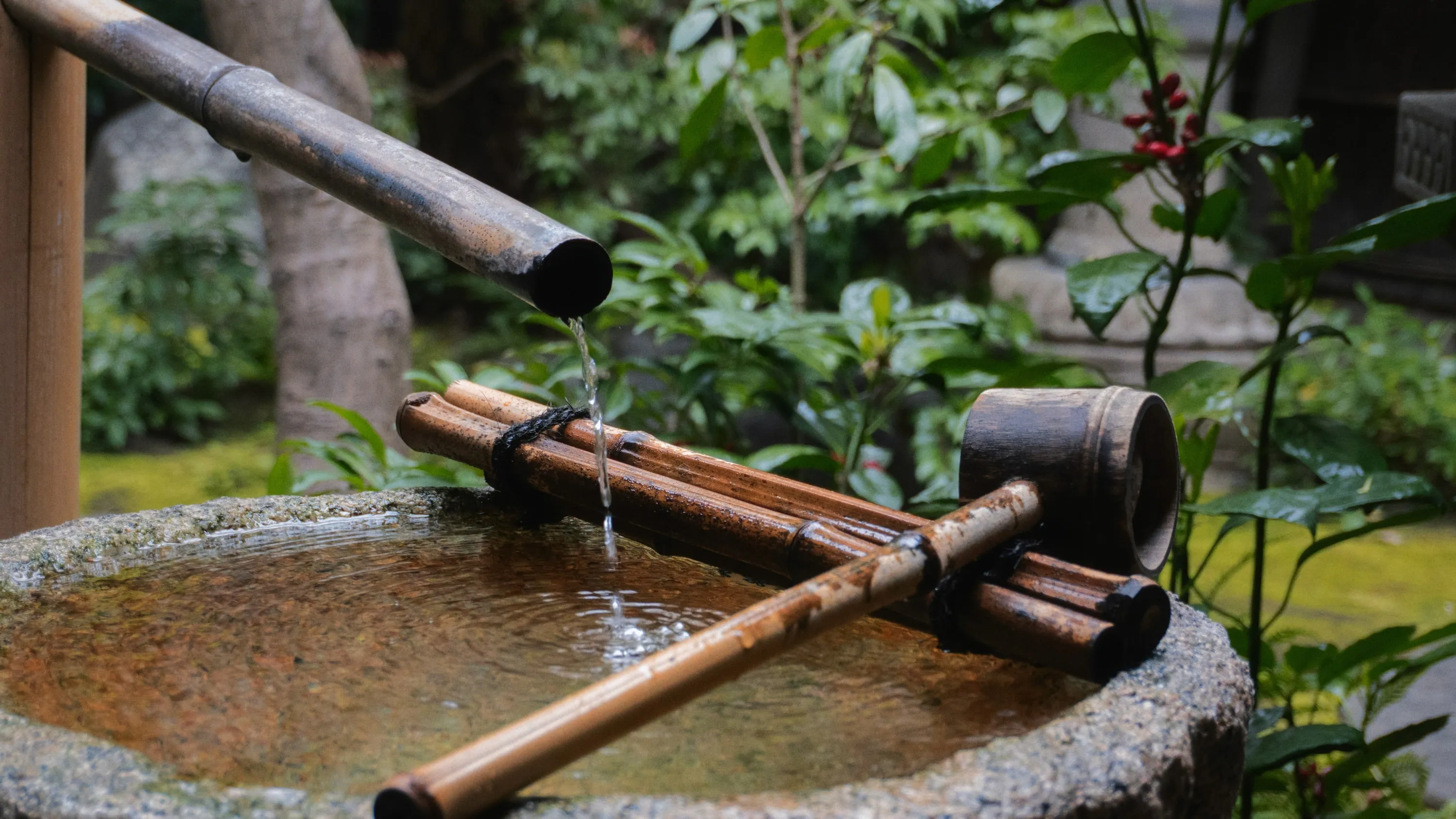 Fotograma de Kyoto